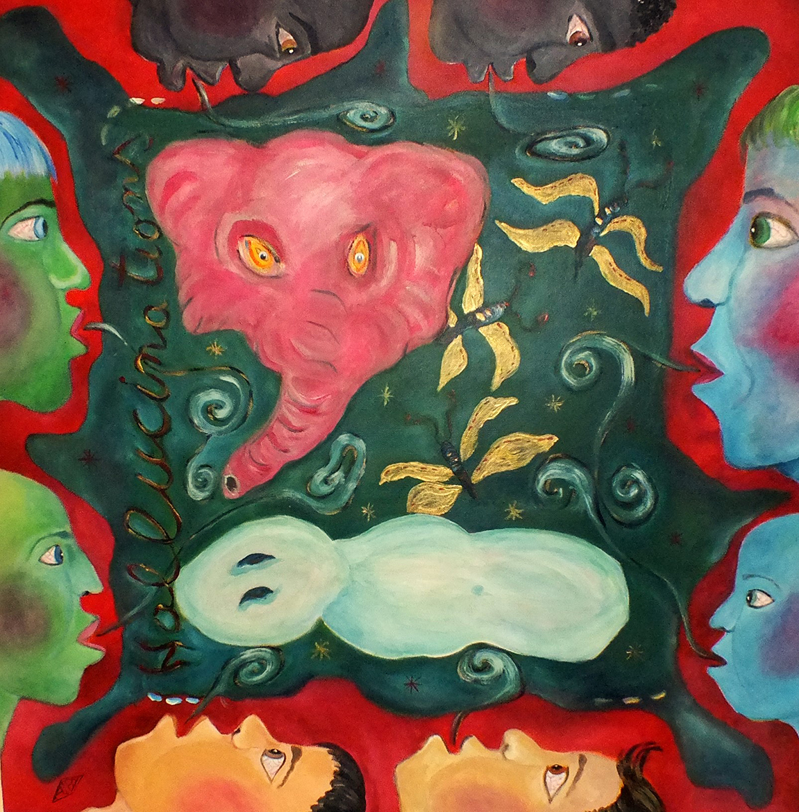 HALLUCINATIONS