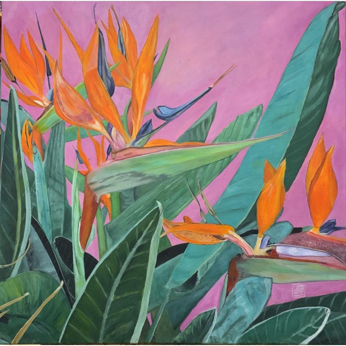 L’OISEAU DU PARADIS