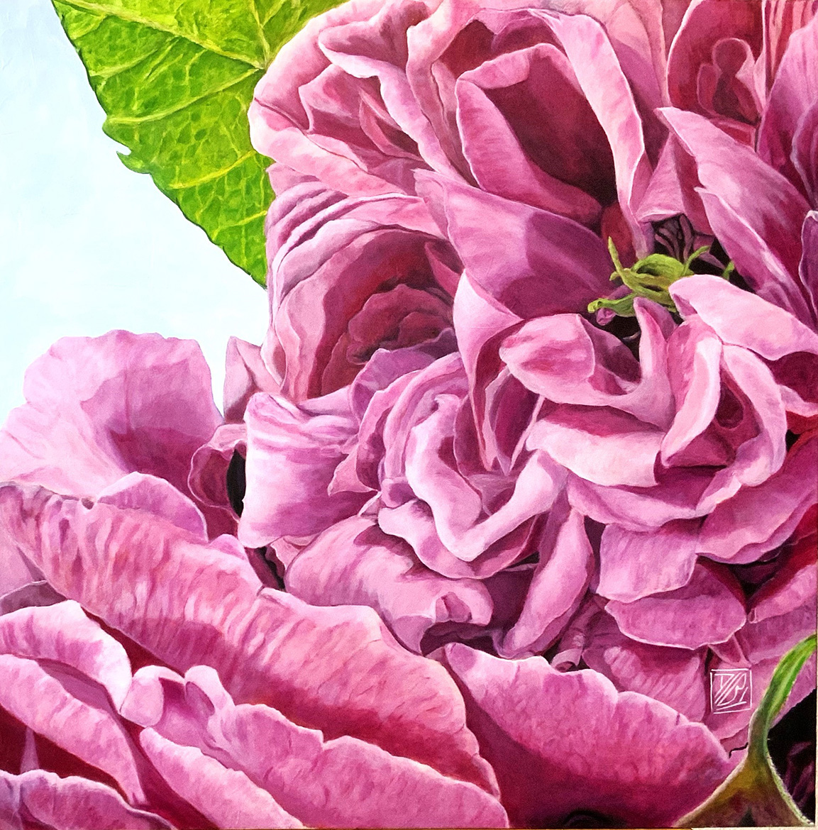 LES ROSES