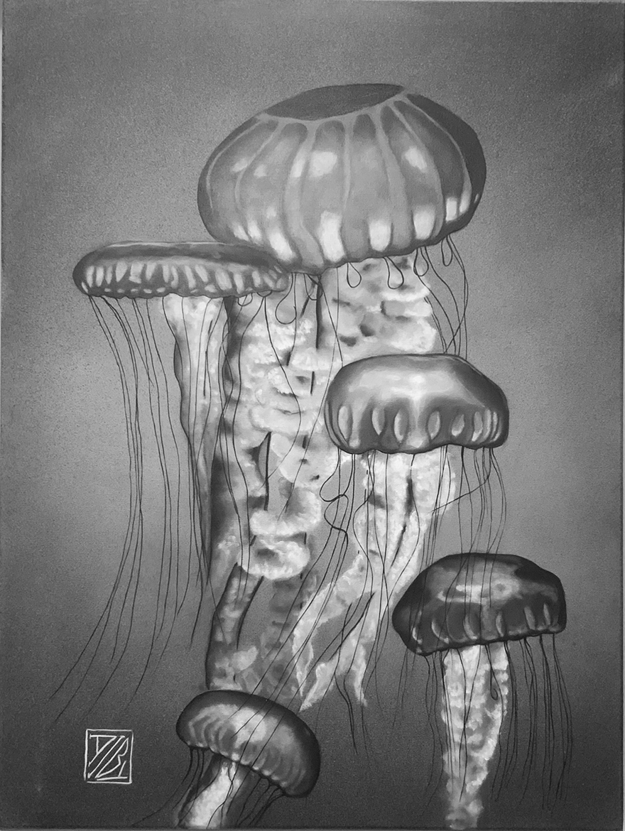 LES MEDUSES